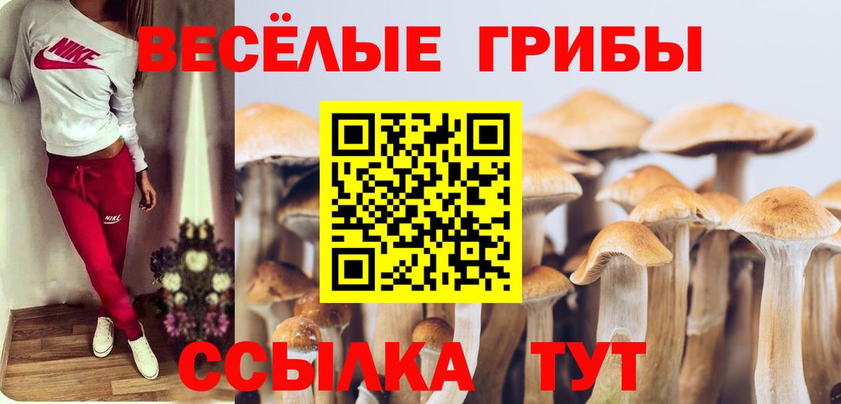 Элиста  Галлюциногенные грибы мицелий  Вход с VPN 